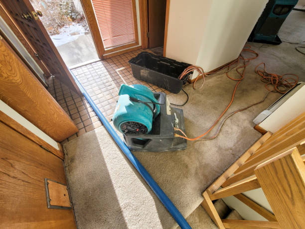 Best Basement water damage restoration  in Fairmont City, IL