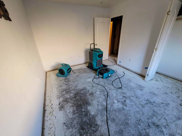 Best Flood damage cleanup  in Fairmont City, IL