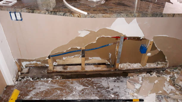Best Water damage contractors near me  in Fairmont City, IL