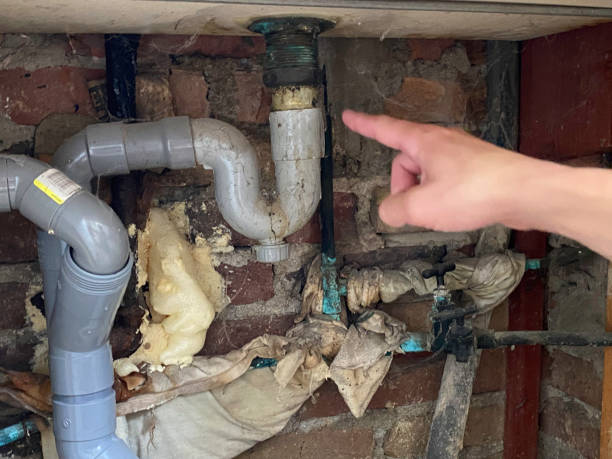 Water damage restoration mold remediation in Fairmont City, IL