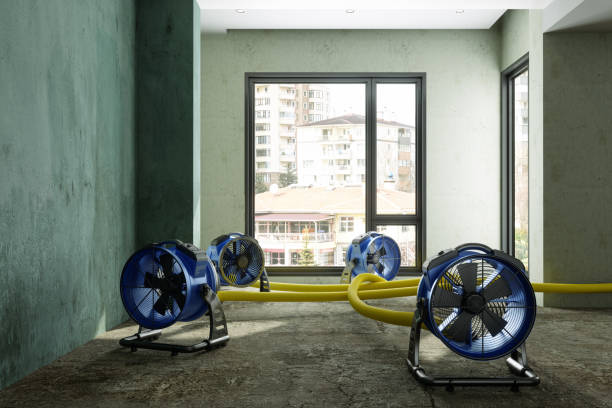 Best Professional water damage repair  in Fairmont City, IL